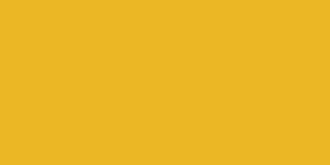 Colour Trophy Yellow Solid