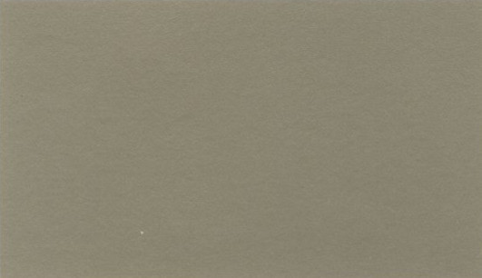 RV8 White Gold Standard